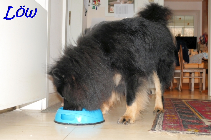 25.1.2023 - Howard läst sich die Torte schmecken